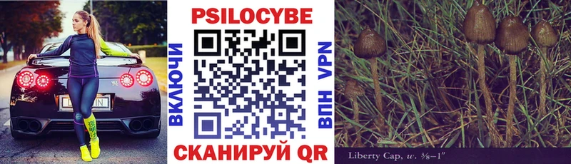 площадка телеграм hydra сайт Талица Галлюциногенные грибы Psilocybe
